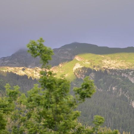 Apartamento Domaine Du Grand Tetras Samoëns Exterior foto
